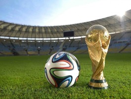 米乐鱼睡袋米乐鱼恒温睡袋