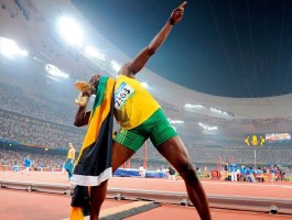 米乐芒-米乐芙保哥树能治胃病吗