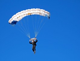 送米乐,送米乐什么意思