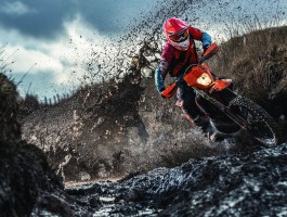 篮箭比分手机版